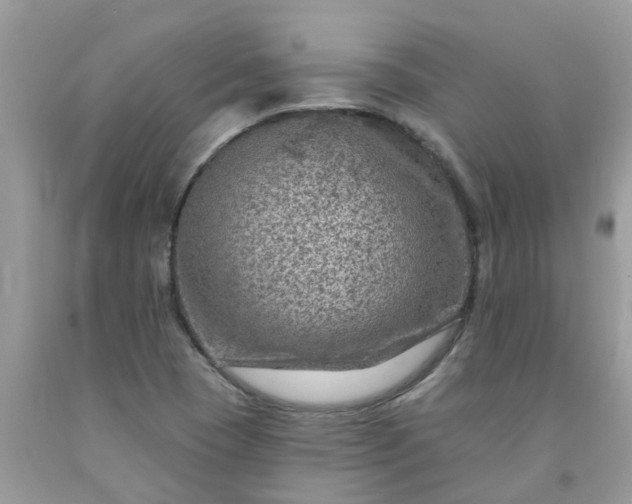 X0000091691409200709061115