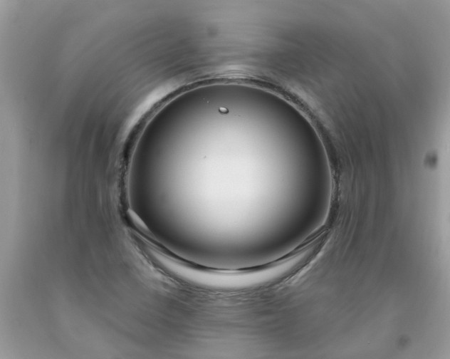 X0000091691410200709061115