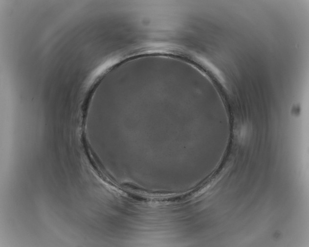 X0000091691411200709061115