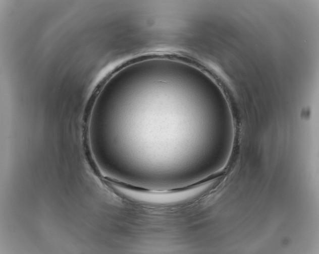 X0000091691412200709061115
