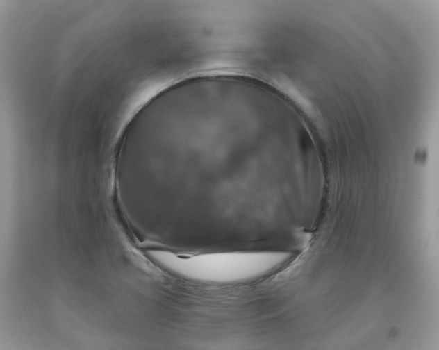 X0000091691413200709061116