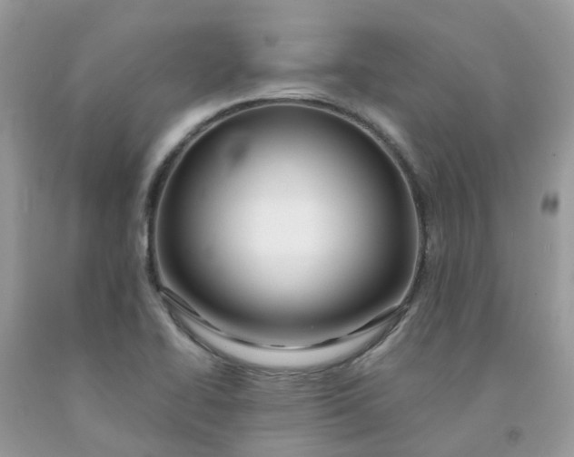 X0000091691414200709061116