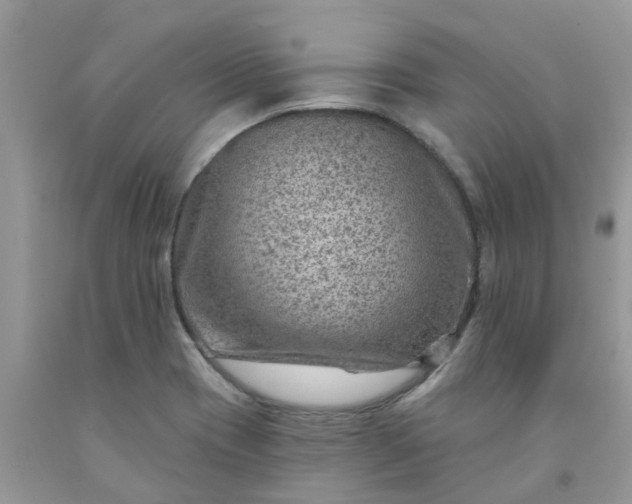 X0000091691417200709061116