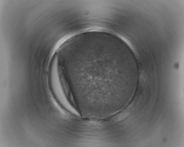 X0000091691418200709061116