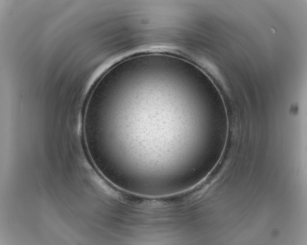 X0000091691420200709061116