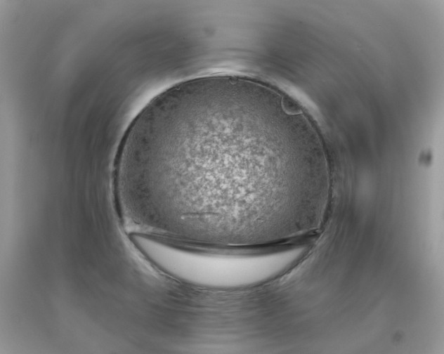 X0000091691423200709061116
