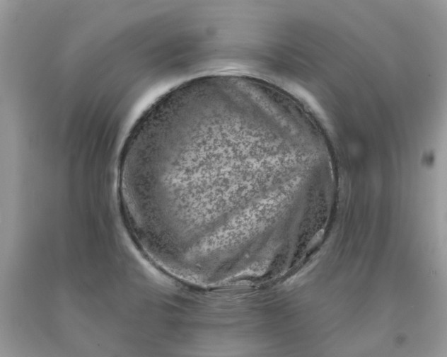 X0000091691424200709061116