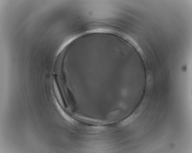 X0000091691425200709061116