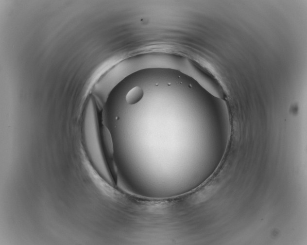 X0000091691426200709061116