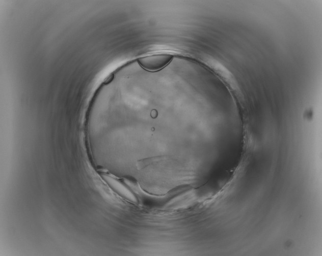 X0000091691427200709061116