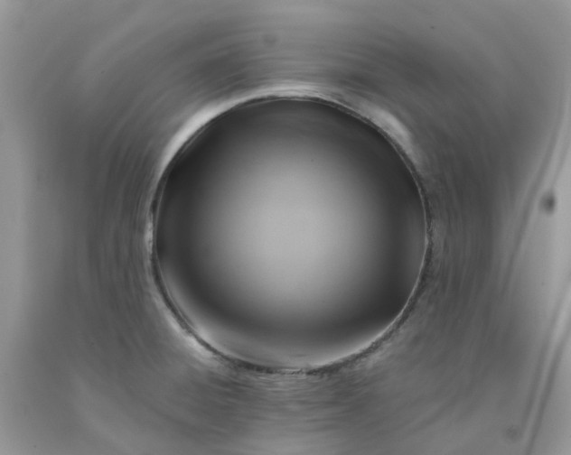X0000091691428200709061116