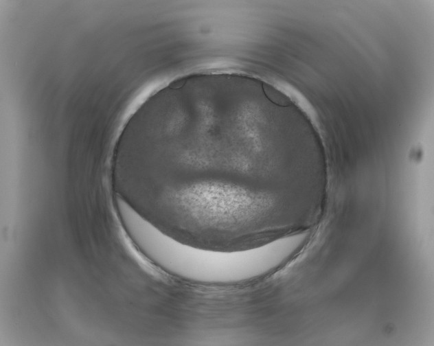 X0000091691429200709061116