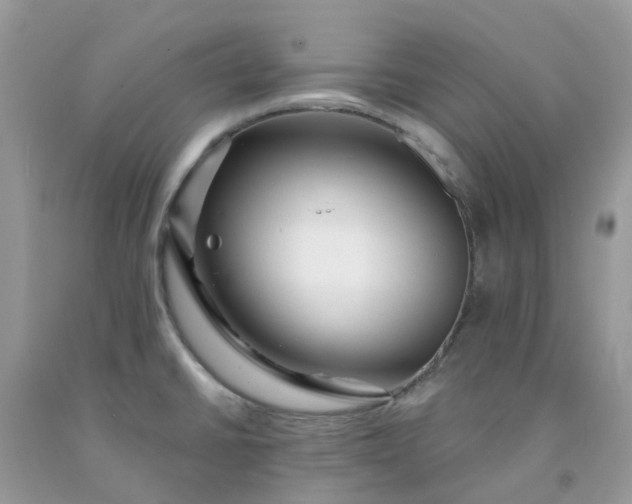 X0000091691430200709061116