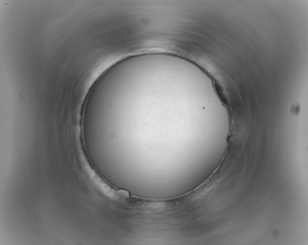 X0000091691431200709061116