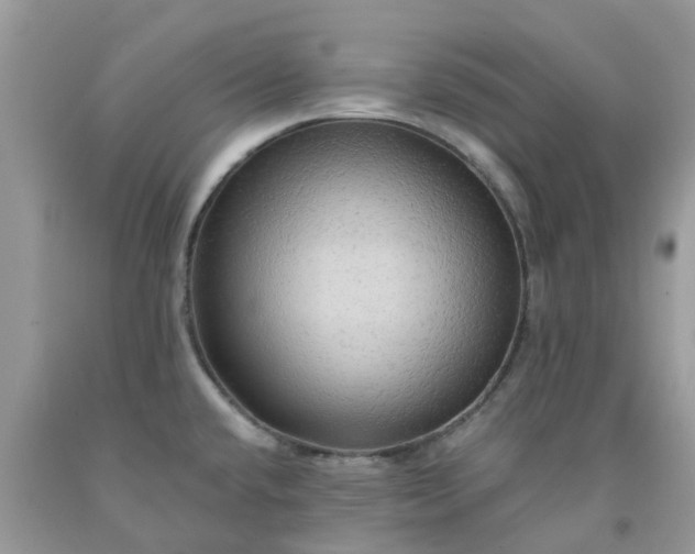 X0000091691432200709061116