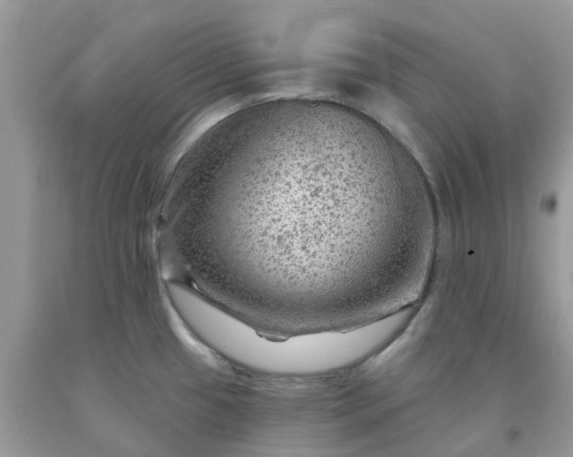 X0000091691433200709061116
