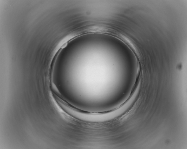 X0000091691434200709061116