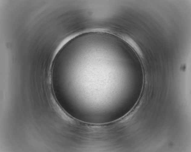 X0000091691436200709061116