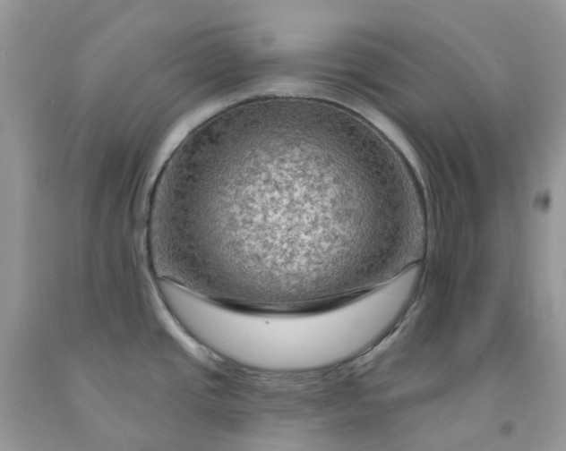 X0000091691437200709061116