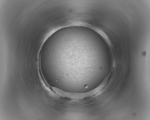 X0000091691439200709061116
