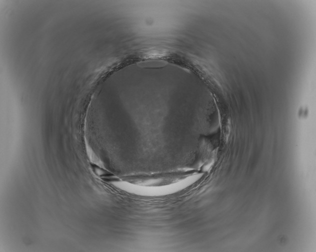X0000091691441200709061115