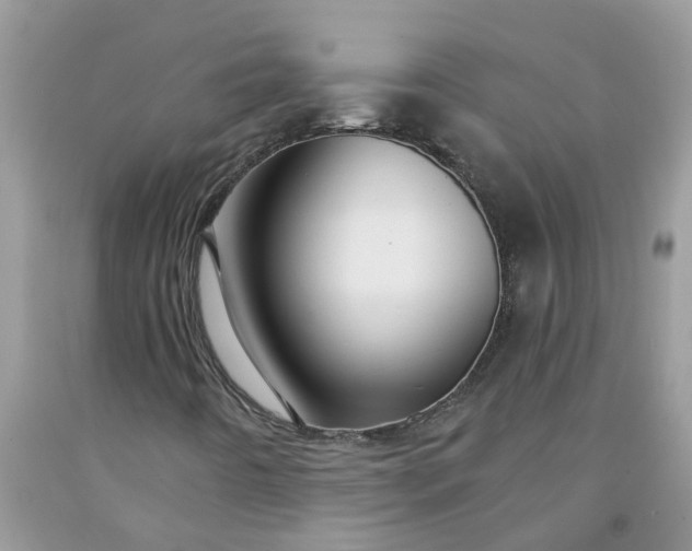X0000091691442200709061115