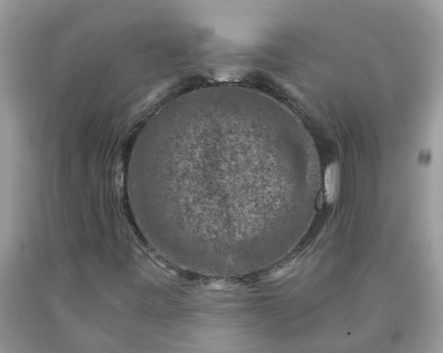 X0000091691443200709061115