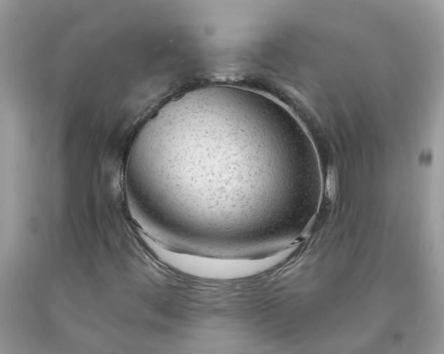 X0000091691444200709061115