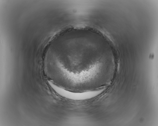 X0000091691445200709061115