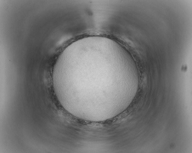X0000091691446200709061115