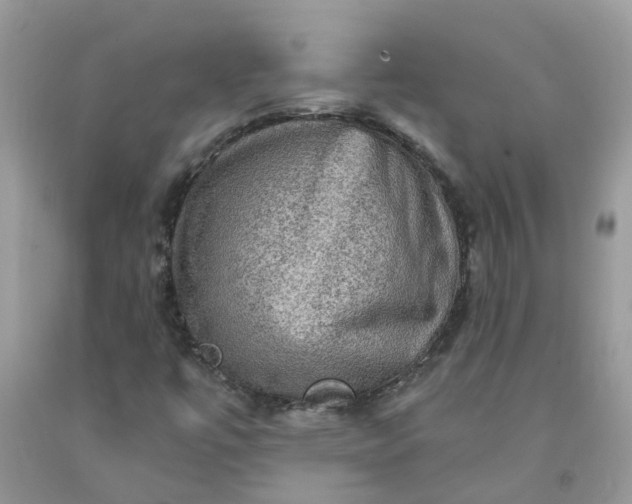 X0000091691447200709061115
