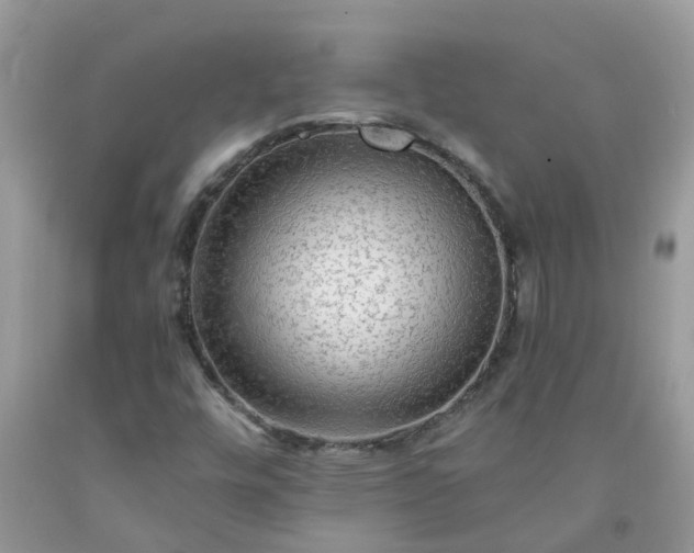 X0000091691448200709061115
