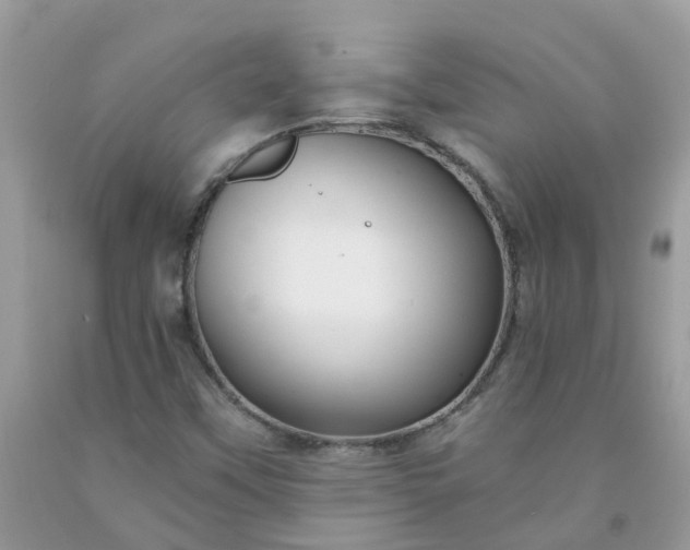 X0000091691451200709061115