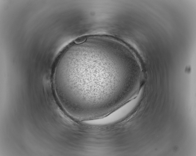 X0000091691452200709061115