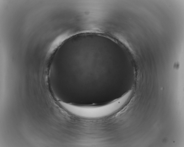 X0000091691455200709061115