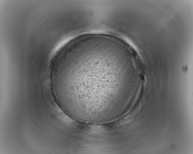 X0000091691456200709061115