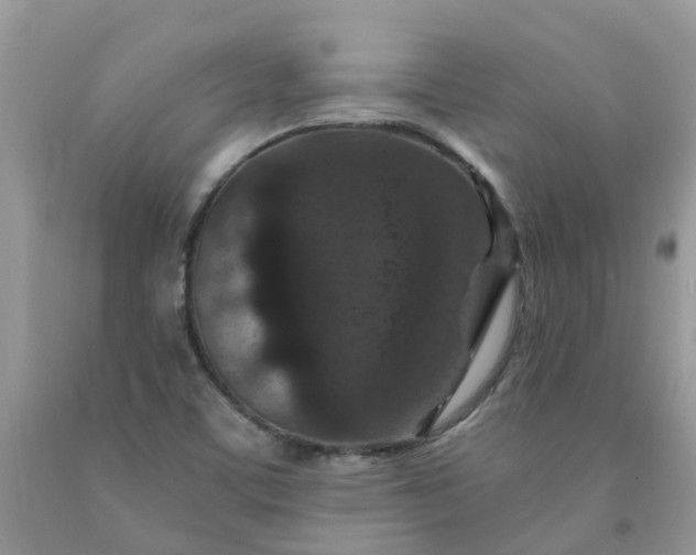 X0000091691459200709061115