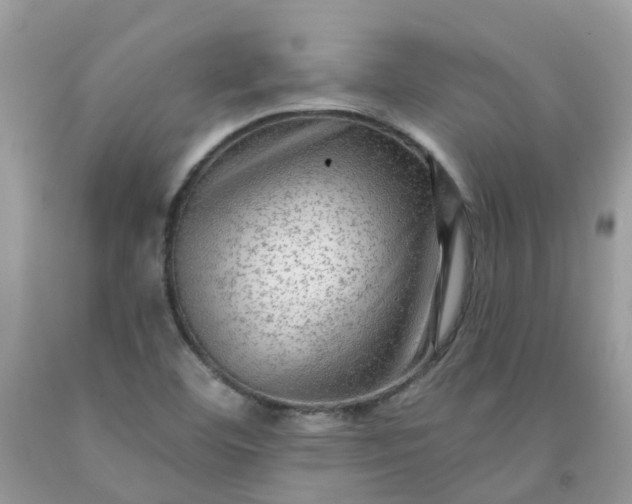 X0000091691460200709061115