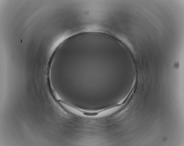 X0000091691463200709061115