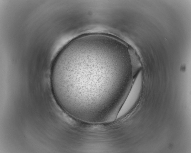 X0000091691464200709061115