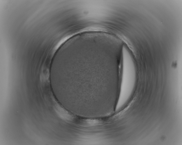 X0000091691465200709061115