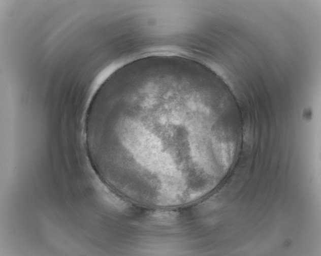 X0000091691466200709061115