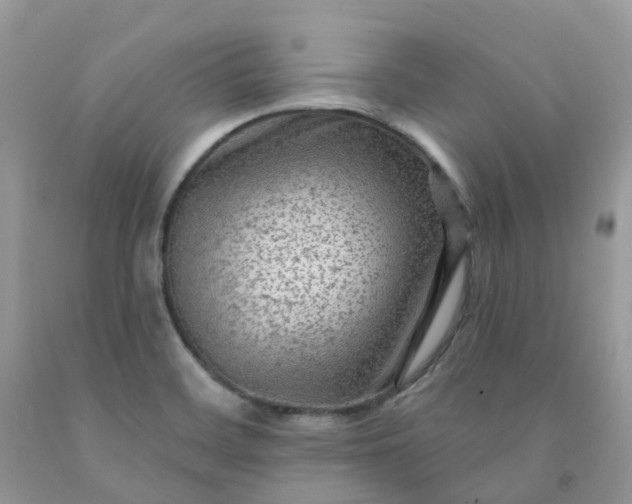 X0000091691468200709061115