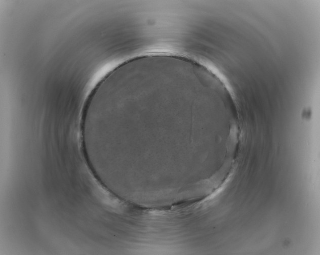 X0000091691469200709061115