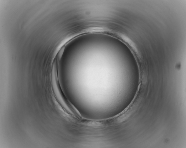 X0000091691473200709061115
