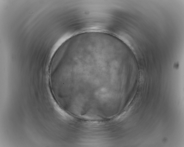 X0000091691474200709061115