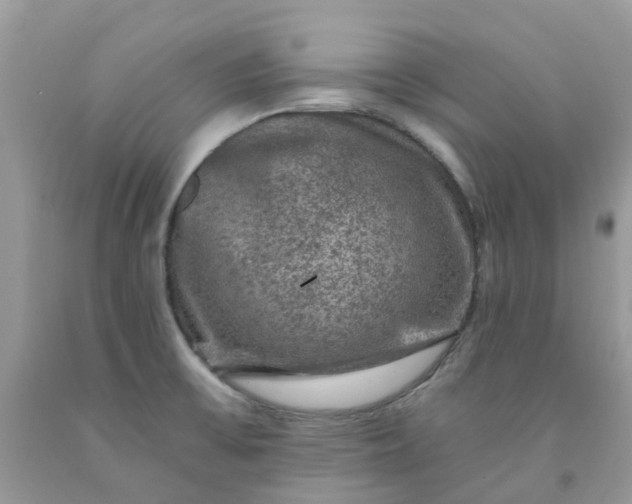 X0000091691475200709061115