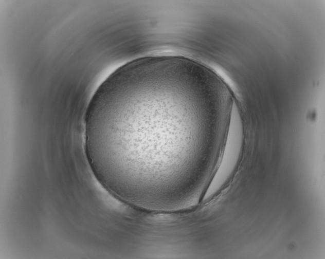 X0000091691476200709061115