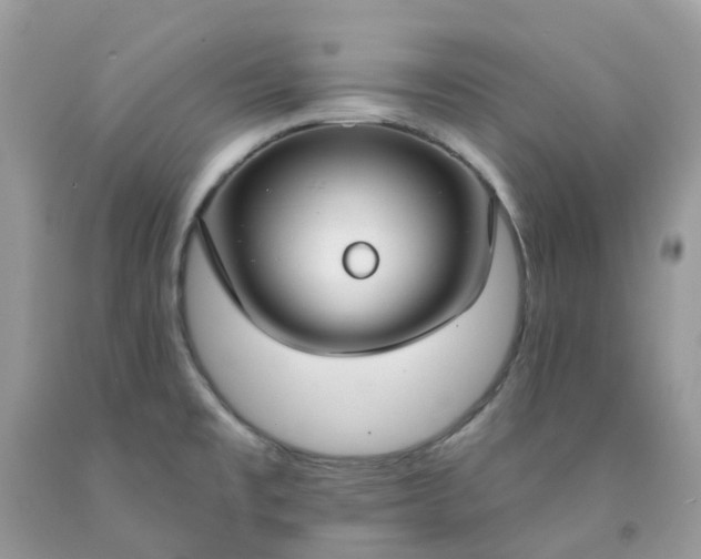 X0000091691477200709061115