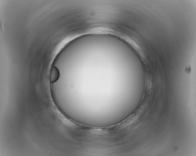 X0000091691478200709061115